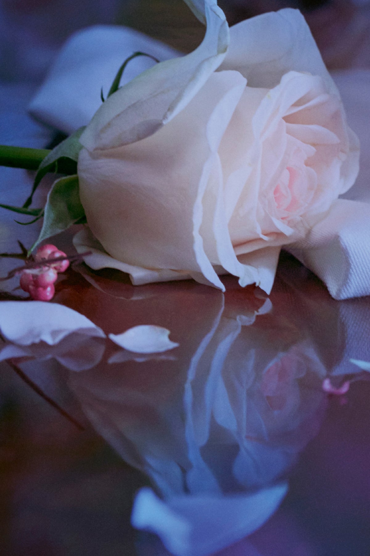 نسخة طبق الأصل من Up At Dawn أو دو تواليت