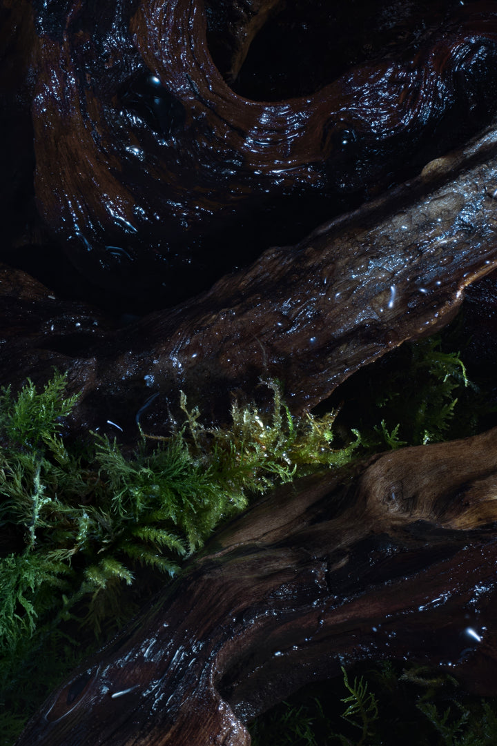 Replica Soul Of The Forest Eau de Parfum
