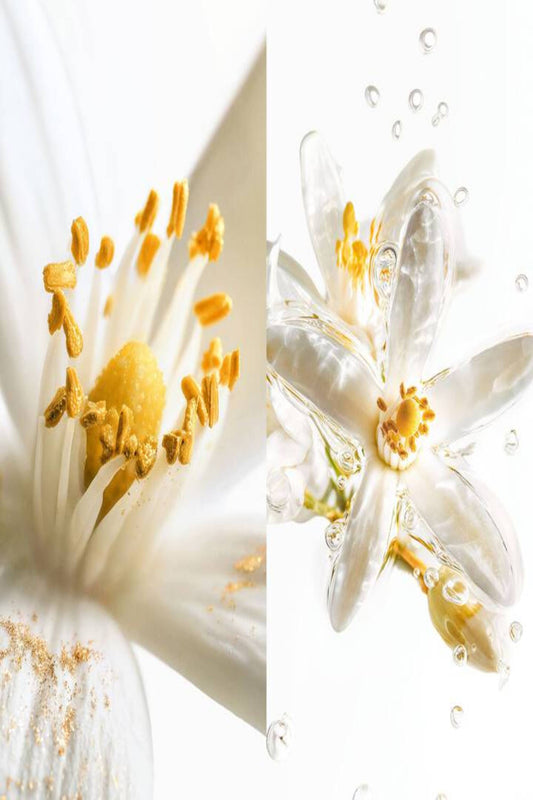 Maison Margiela Ch.1: Scentsorium Blaze Of Stillness Eau de Parfum 75ml