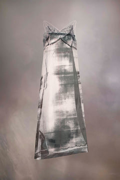 Freeze-frame midi dress
