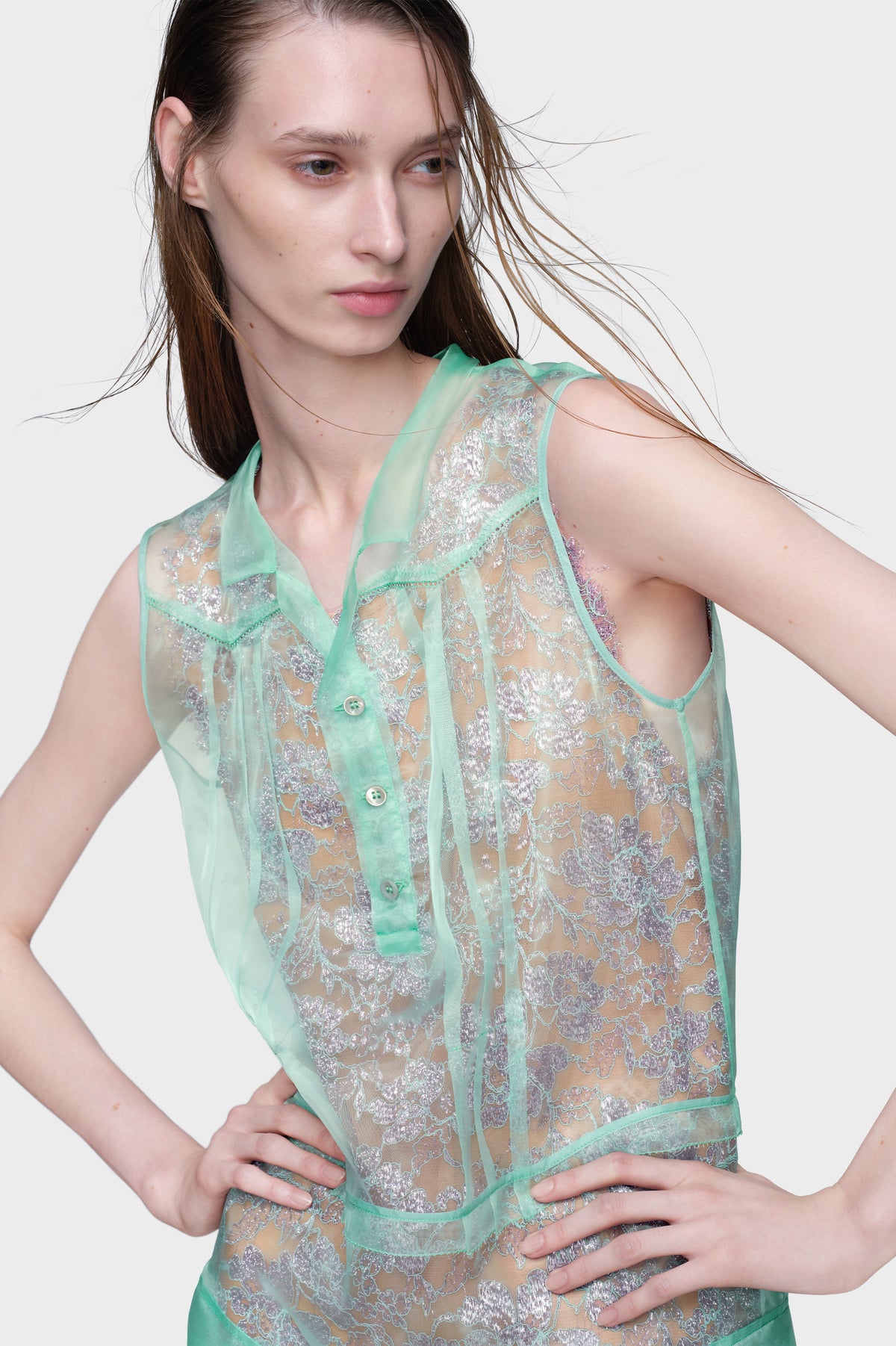 Sheer tea dress